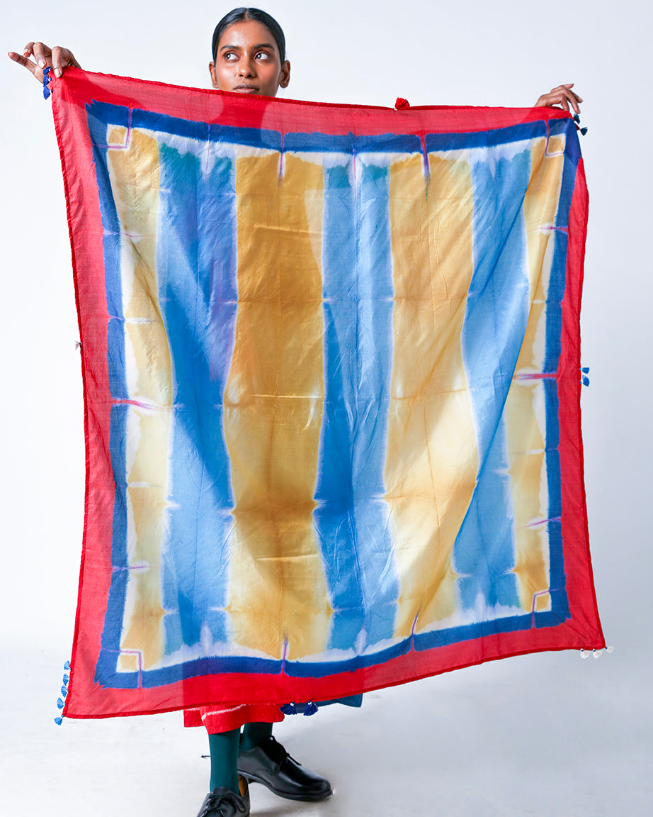 Varnika Coloblocked Scarf